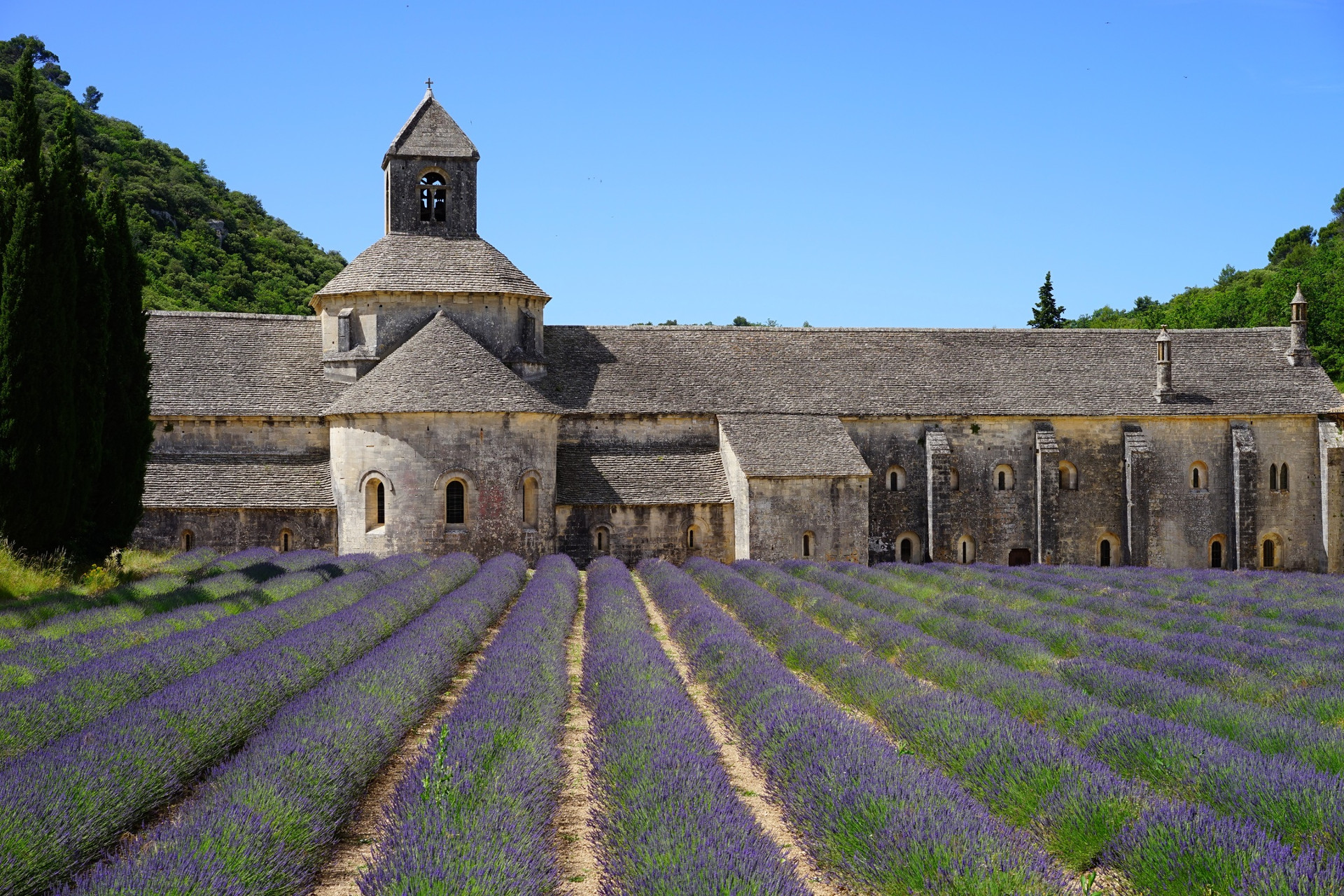 Abbaye de Sénanque